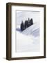 Wyoming, Yellowstone NP, Lamar Valley. Winter scene of the trees among the hills-Ellen Goff-Framed Photographic Print