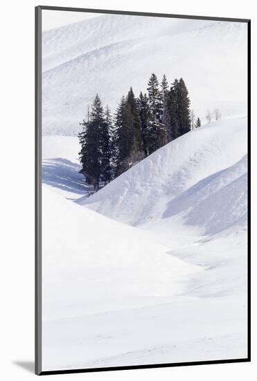 Wyoming, Yellowstone NP, Lamar Valley. Winter scene of the trees among the hills-Ellen Goff-Mounted Photographic Print