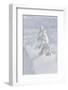 Wyoming, Yellowstone NP, Midway Geyser Basin. Winter scene with snow covered trees-Ellen Goff-Framed Photographic Print