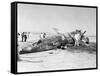 X-15 Crash Photograph - Mud Lake, NV-Lantern Press-Framed Stretched Canvas