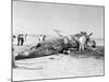 X-15 Crash Photograph - Mud Lake, NV-Lantern Press-Mounted Art Print