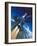 X-15 Rocket Plane-Wilf Hardy-Framed Giclee Print