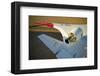 X-48B Blended Wing Prototype-null-Framed Art Print