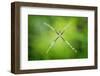 X-Composition-Donald Jusa-Framed Photographic Print