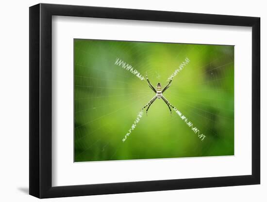 X-Composition-Donald Jusa-Framed Photographic Print