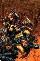 X-Factor No.26 Cover: Wolverine and X-23-David Finch-Lamina Framed Poster