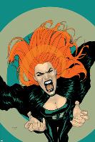 X-Factor No.5 Cover: Siryn-Ryan Sook-Lamina Framed Poster