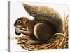 X For Xerus Erythropus or African Squirrel-R. B. Davis-Stretched Canvas