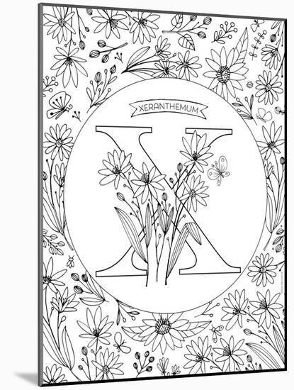 X is for Xeranthemum-Heather Rosas-Mounted Art Print