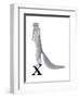 X is for Xerus-Stacy Hsu-Framed Art Print