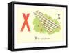 X is for Xylophone-null-Framed Stretched Canvas