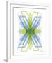 X Mark-Adrienne Wong-Framed Giclee Print