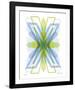 X Mark-Adrienne Wong-Framed Giclee Print