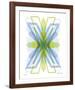 X Mark-Adrienne Wong-Framed Giclee Print