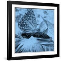 X-Ray Butterfly 1-Brago-Framed Art Print