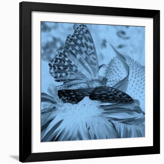 X-Ray Butterfly 1-Brago-Framed Art Print