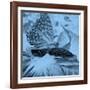 X-Ray Butterfly 1-Brago-Framed Art Print