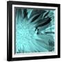 X-Ray Butterfly 3-Brago-Framed Art Print