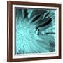 X-Ray Butterfly 3-Brago-Framed Art Print