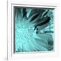 X-Ray Butterfly 3-Brago-Framed Art Print