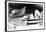 X-ray - Cadillac Fleetwood Sixty, 1958-Hakan Strand-Framed Giclee Print