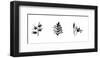 X-Ray Foxglove Triptych-Bert Myers-Framed Giclee Print