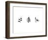 X-Ray Foxglove Triptych-Bert Myers-Framed Art Print