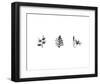 X-Ray Foxglove Triptych-Bert Myers-Framed Art Print