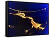 X-Ray Image of a Solar Flare-null-Framed Stretched Canvas