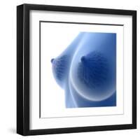 X-Ray Image of Female Breast Anatomy-null-Framed Art Print