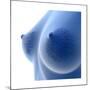 X-Ray Image of Female Breast Anatomy-null-Mounted Art Print