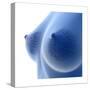 X-Ray Image of Female Breast Anatomy-null-Stretched Canvas