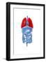 X-Ray Image of Internal Organs with Lungs Highlighted in Red-null-Framed Art Print