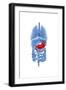 X-Ray Image of Internal Organs with Stomach Highlighted in Red-null-Framed Art Print