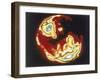 X-Ray Image of Sun, Skylab, 1970S-null-Framed Giclee Print