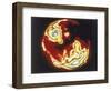 X-Ray Image of Sun, Skylab, 1970S-null-Framed Giclee Print