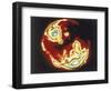 X-Ray Image of Sun, Skylab, 1970S-null-Framed Giclee Print