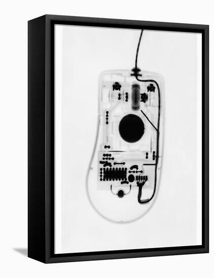 X-Ray of a Computer Mouse-Chris Rogers-Framed Stretched Canvas