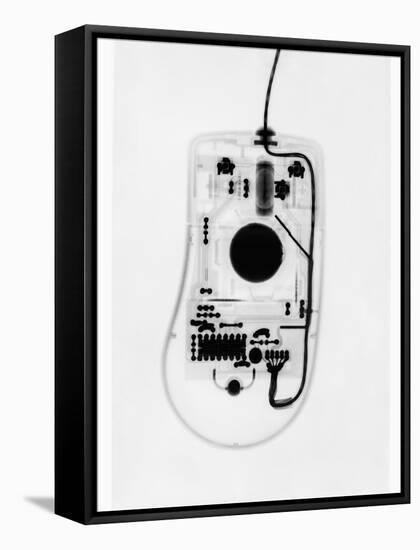 X-Ray of a Computer Mouse-Chris Rogers-Framed Stretched Canvas