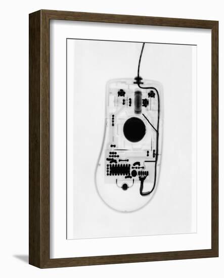 X-Ray of a Computer Mouse-Chris Rogers-Framed Photographic Print