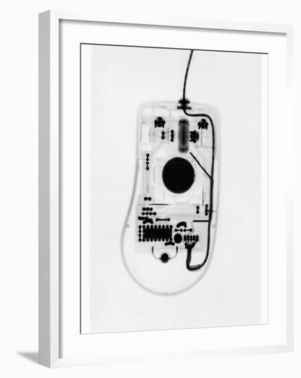 X-Ray of a Computer Mouse-Chris Rogers-Framed Photographic Print