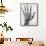 X-ray of a hand with buckshot-Science Source-Framed Stretched Canvas displayed on a wall