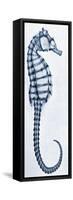 X-Ray of a Seahorse-null-Framed Stretched Canvas
