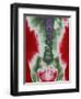 X-ray of a Torso-null-Framed Photographic Print