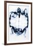 X-Ray of a Tortoise-null-Framed Giclee Print