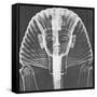 X-ray of an Egyptian Mask-Science Source-Framed Stretched Canvas