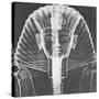 X-ray of an Egyptian Mask-Science Source-Stretched Canvas