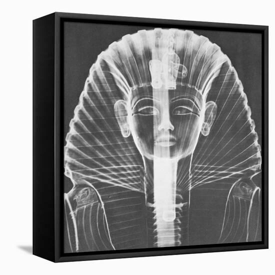 X-ray of an Egyptian Mask-Science Source-Framed Stretched Canvas