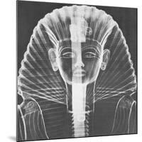 X-ray of an Egyptian Mask-Science Source-Mounted Giclee Print