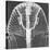 X-ray of an Egyptian Mask-Science Source-Stretched Canvas